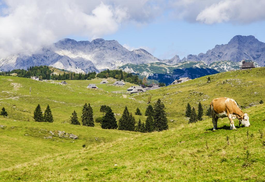 Chalet Tisa Velika Planina Stahovica Zimmer foto